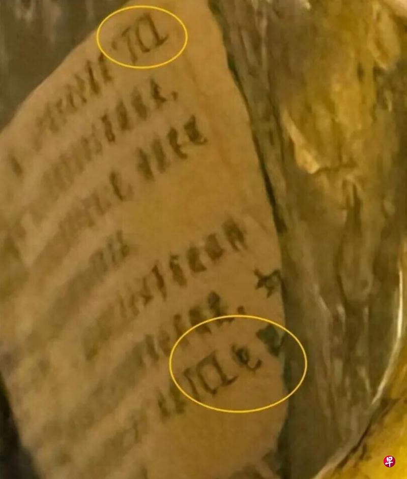 1. 实时比分与赛况追踪 - 绿茵体育官网