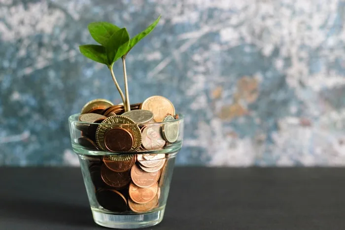 Smart Financial Solutions for Your Future - 绿茵体育官网